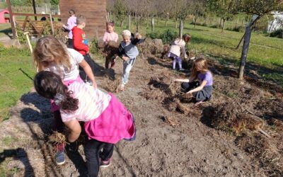 ROOTS Scoutsi i građanska znanost