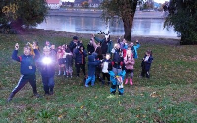 Novi edukativni programi razvijeni kroz projekt “Šumska učionica” (OBŽ)