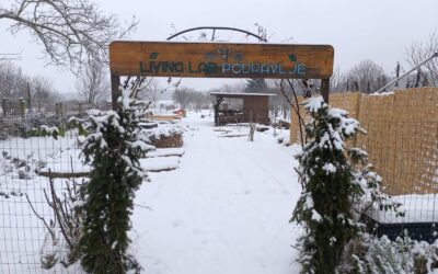 Iskaz interesa za organizaciju tečaja permakulturnog dizajna u Osijeku