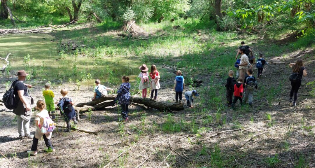 Novi projekt: Panonski Rendžer – građanska znanost za djecu u Osijeku